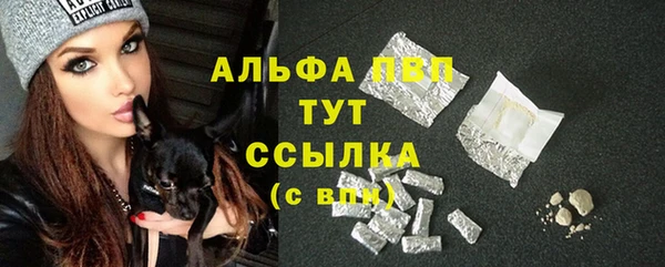 mdpv Богородск