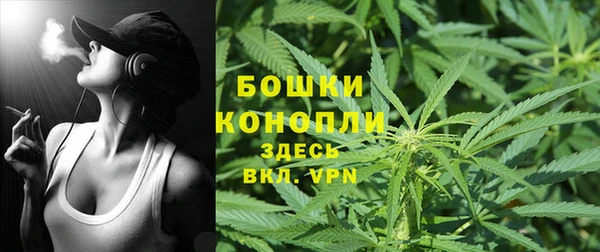 mdpv Богородск