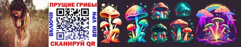Псилоцибиновые грибы Magic Shrooms где можно купить наркотик Ростов-на-Дону